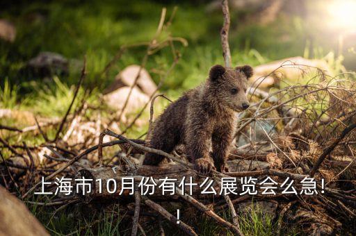  上海市10月份有什么展覽會么急!!