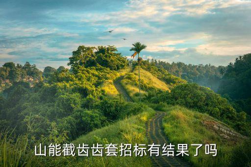 山能截齒齒套招標(biāo)有結(jié)果了嗎