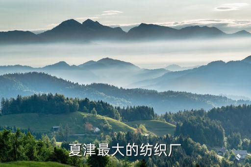 夏津最大的紡織廠