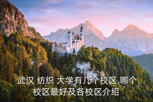 武漢紡織大學(xué)附近有什么學(xué)校