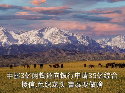 手握3億閑錢還向銀行申請35億綜合授信,色織龍頭 魯泰要做啥