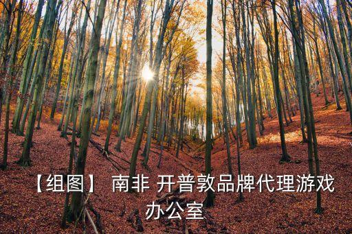 【組圖】 南非 開普敦品牌代理游戲辦公室