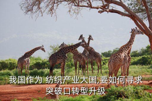 中國紡織行業(yè)的未來,紡織行業(yè)未來發(fā)展趨勢