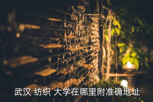 武漢紡織大學(xué)中外