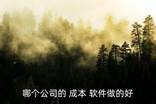 哪個公司的 成本 軟件做的好