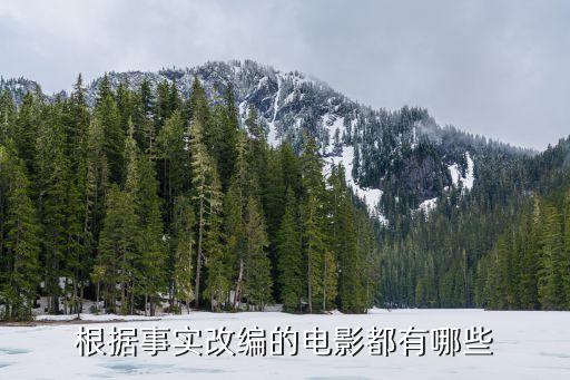 臺州維卡斯電器有限公司,河南維卡斯新材料科技有限公司怎么樣