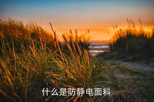 什么是防靜電面料