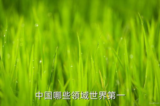 中國哪些領域世界第一