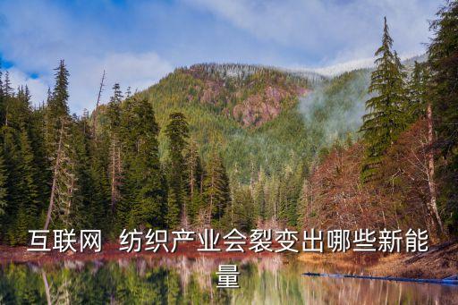 互聯(lián)網(wǎng)  紡織產(chǎn)業(yè)會裂變出哪些新能量