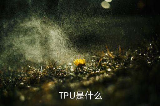  TPU是什么