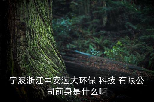 寧波浙江中安遠大環(huán)保 科技 有限公司前身是什么啊
