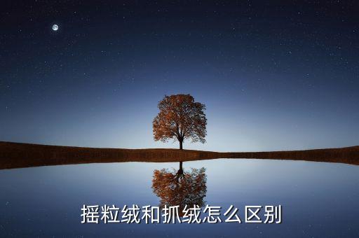  搖粒絨和抓絨怎么區(qū)別