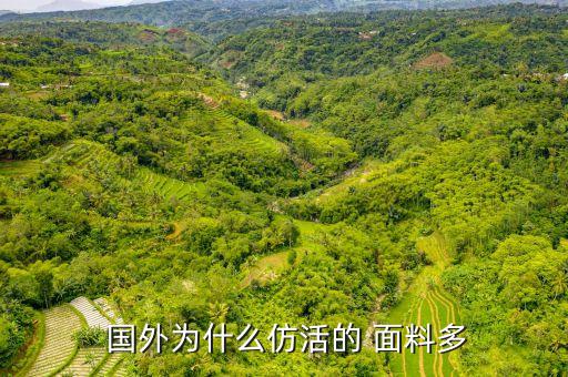 國(guó)外面料網(wǎng)站,國(guó)外抗病毒面料