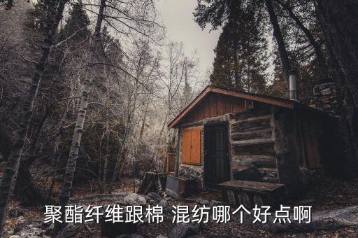 聚酯纖維跟棉 混紡哪個(gè)好點(diǎn)啊