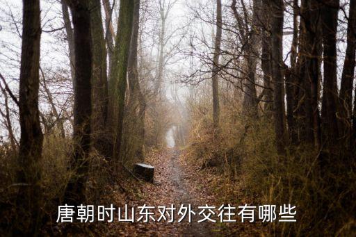 唐朝時(shí)山東對(duì)外交往有哪些