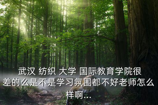 武漢紡織大學(xué)國(guó)際