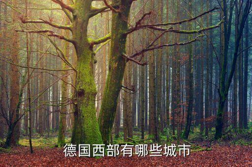  德國西部有哪些城市