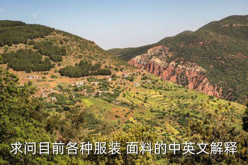 melange fleece 是什么面料