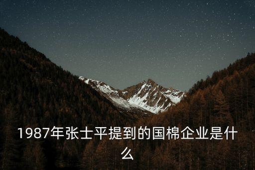 1987年張士平提到的國棉企業(yè)是什么