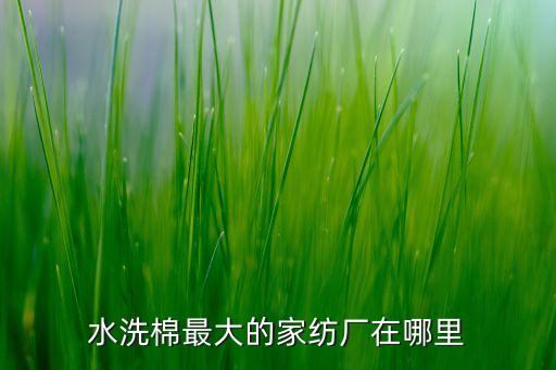 水洗棉最大的家紡廠在哪里