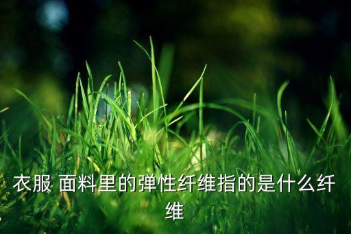 衣服 面料里的彈性纖維指的是什么纖維