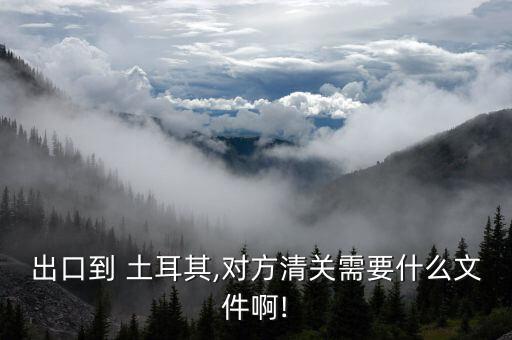 出口到 土耳其,對方清關需要什么文件啊!