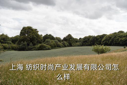  上海 紡織時尚產(chǎn)業(yè)發(fā)展有限公司怎么樣