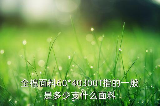 全棉面料60*40300T指的一般是多少支什么面料