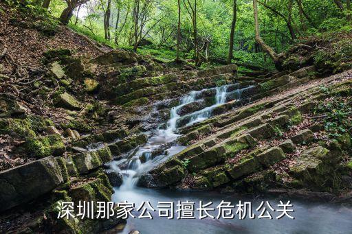 深圳那家公司擅長危機公關(guān)