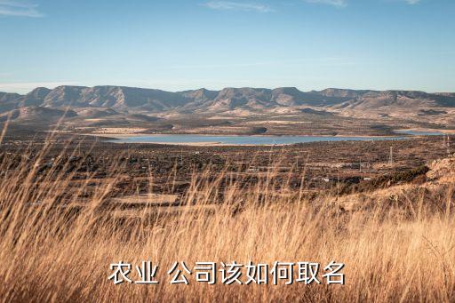 農(nóng)業(yè) 公司該如何取名