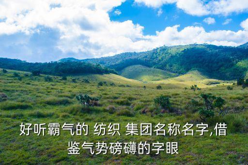 好聽霸氣的 紡織 集團(tuán)名稱名字,借鑒氣勢磅礴的字眼