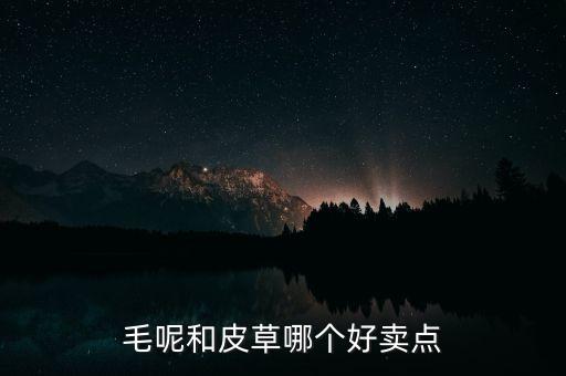 毛呢和皮草哪個(gè)好賣點(diǎn)