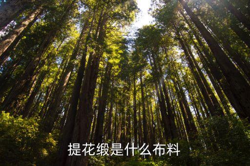 提花緞是什么布料