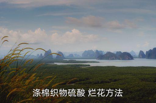 滌棉織物硫酸 爛花方法