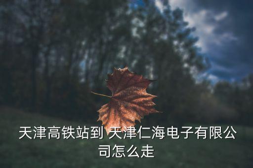  天津高鐵站到 天津仁海電子有限公司怎么走
