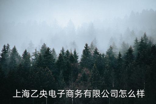 上海永豐紡織,永豐紡織有限公司