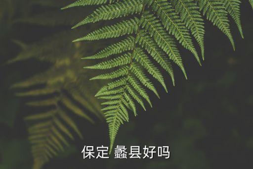 蠡縣恒業(yè)紡織有限公司,蠡縣德蚨容紡織有限公司