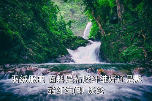  羽絨服的 面料是粘膠纖維好還是聚酯纖維(即 滌綸