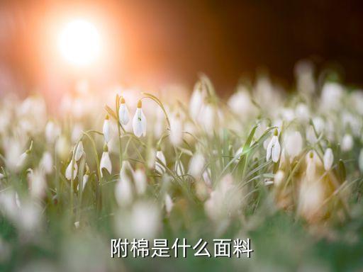棉紡織科技,佛棉紡織科技有限公司