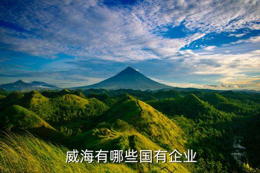 威海紡織集團(tuán)進(jìn)出口有限責(zé)任公司第一事業(yè),威海昊陽集團(tuán)有限責(zé)任公司是國企嗎