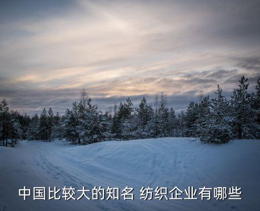 中國(guó)比較大的知名 紡織企業(yè)有哪些