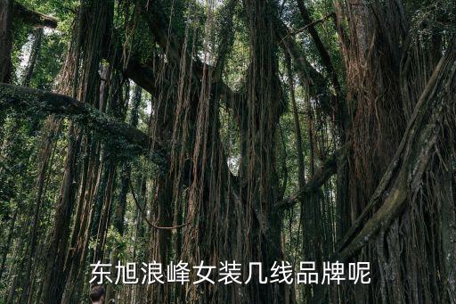  東旭浪峰女裝幾線品牌呢