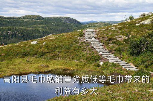 高陽縣毛巾城銷售劣質(zhì)低等毛巾帶來的利益有多大