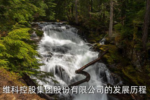 維科控股集團股份有限公司的發(fā)展歷程
