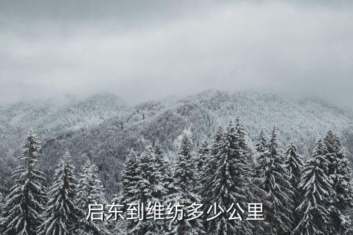 啟東到維紡多少公里