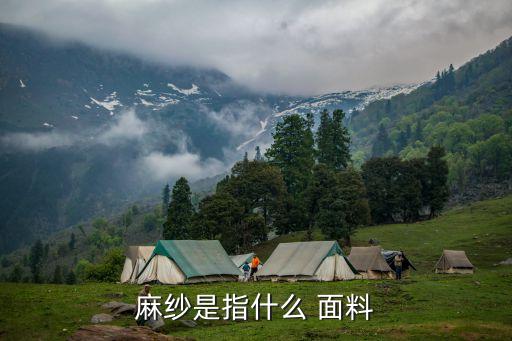 麻紗是指什么 面料