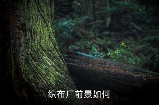 織布廠前景如何