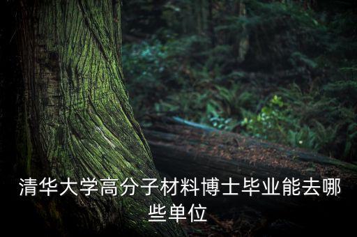  清華大學(xué)高分子材料博士畢業(yè)能去哪些單位