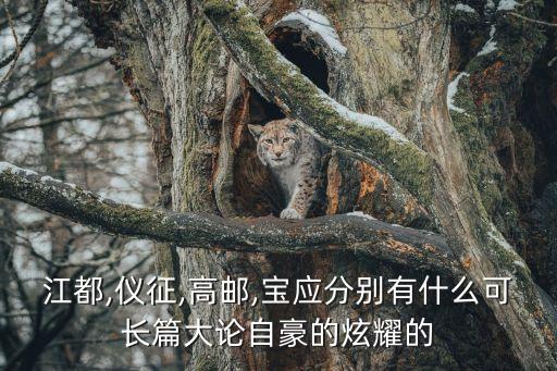 江都,儀征,高郵,寶應分別有什么可長篇大論自豪的炫耀的