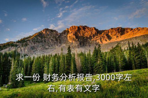 青島紡織廠財(cái)務(wù)報(bào)表,青島代理記賬公司財(cái)務(wù)報(bào)表